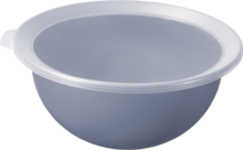Rotho Caruba bowl with lid