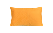 Disc-O-Bed pillow
